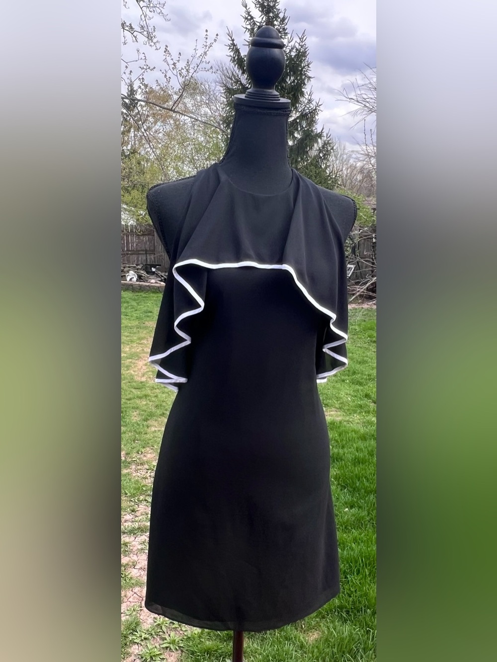 Alice + Olivia classy Black Dress with White Label Detail